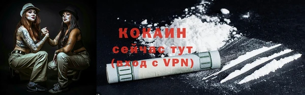 PSILOCYBIN Каменногорск