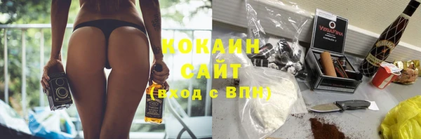 PSILOCYBIN Каменногорск