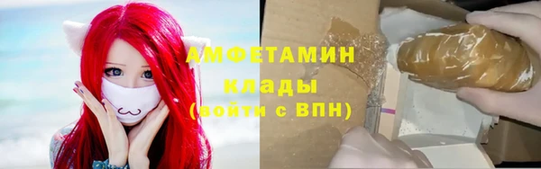PSILOCYBIN Каменногорск