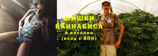 PSILOCYBIN Каменногорск
