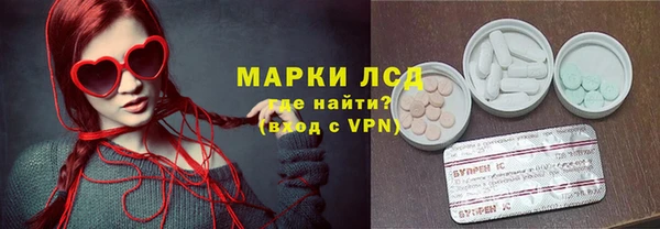 PSILOCYBIN Каменногорск