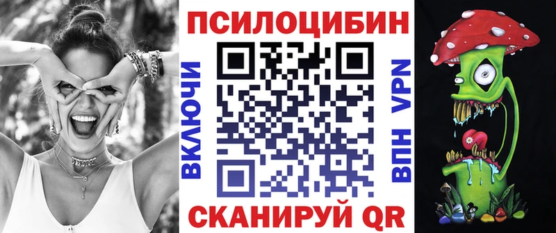 Галлюциногенные грибы Psilocybe  Купить  Губкин 