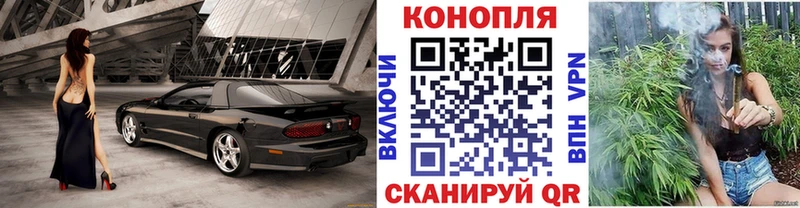 Конопля AK-47  Купить  Губкин 